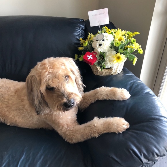 Meet your Posher, Nan - Picture 2 of 4